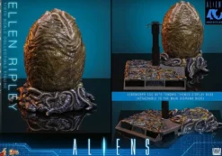 Alien Movie Masterpiece Actionfigur 1/6 Ellen Ripley (Deluxe Version) 30 cm