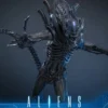 Alien Movie Masterpiece Actionfigur 1/6 Alien Warrior 39 cm