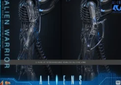 Alien Movie Masterpiece Actionfigur 1/6 Alien Warrior (Deluxe Version) 39 cm