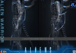 Alien Movie Masterpiece Actionfigur 1/6 Alien Warrior 39 cm