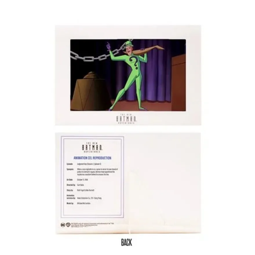 DC The New Batman Adventures Wave 4 The Riddler Actionfigur