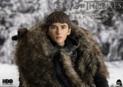 Game of Thrones Actionfigur 1/6 Bran Stark