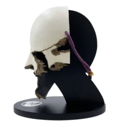 James Bond 007 - No Time to Die Prop Replica 1/1 Safin Mask (Fragmented Version) Limited Edition