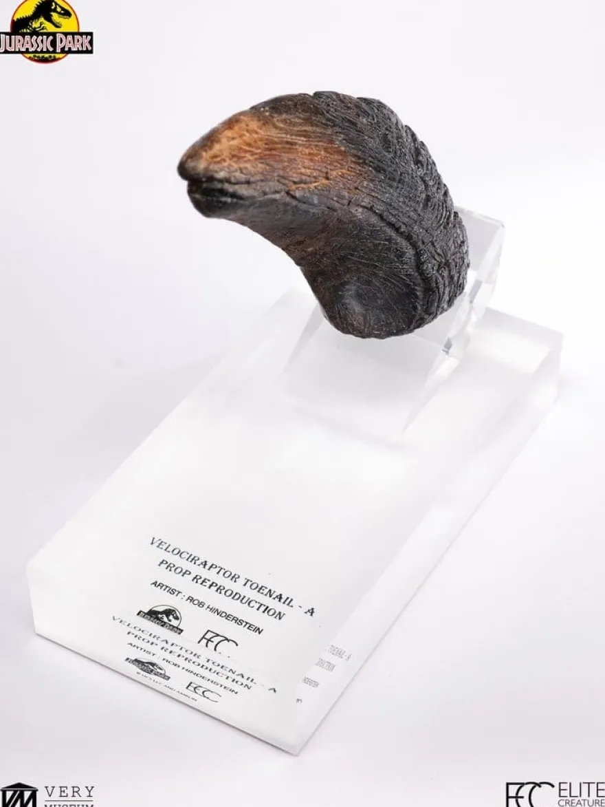 Jurassic Park 1/1 Replik Velociraptor Toenail Type A 11 cm