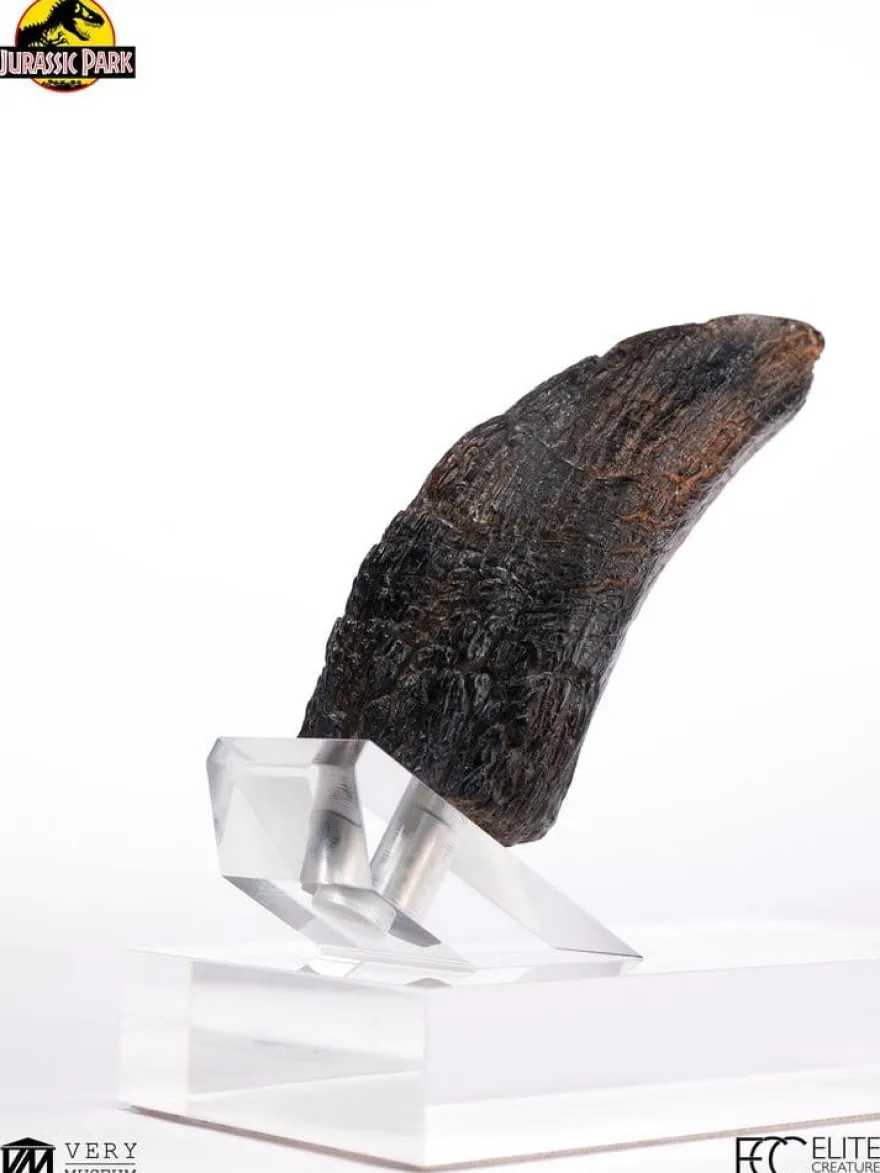 Jurassic Park 1/1 Replik Velociraptor Toenail Type A 11 cm
