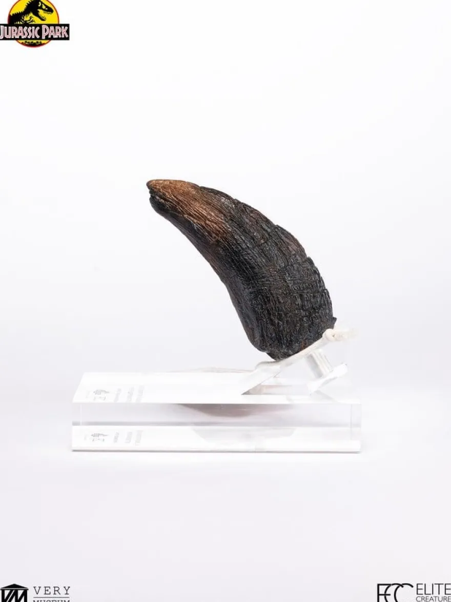 Jurassic Park 1/1 Replik Velociraptor Toenail Type A 11 cm