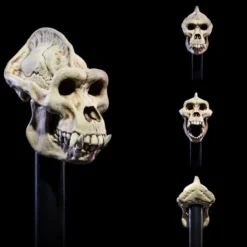 Mythic Legions: All Stars 6 - Undead Heads Pack