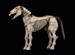 Mythic Legions: Reinforcement 3 Actionfigur Skeleton Steed Legion Builder