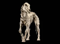 Mythic Legions: Reinforcement 3 Actionfigur Skeleton Steed Legion Builder