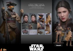 Star Wars Episode VI Movie Masterpiece Actionfigur 1/6 Leia Organa (Boushh Disguise) 27 cm