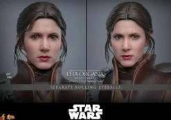 Star Wars Episode VI Movie Masterpiece Actionfigur 1/6 Leia Organa (Boushh Disguise) 27 cm