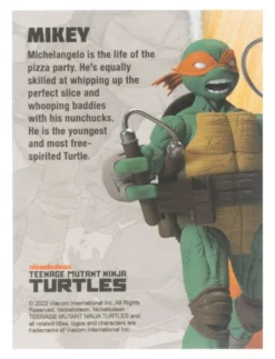 Teenage Mutant Ninja Turtles BST AXN Action Figure Michelangelo (IDW Comics) 13 cm