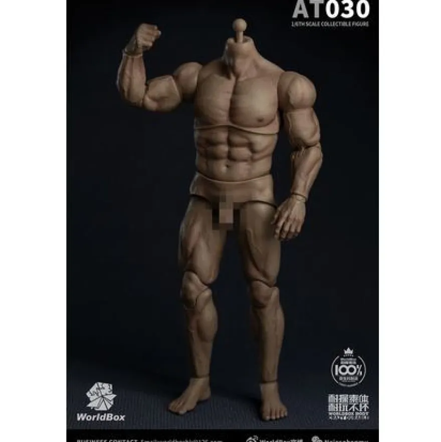Worldbox 1/6 männlicher Figurenkörper stark & beständig