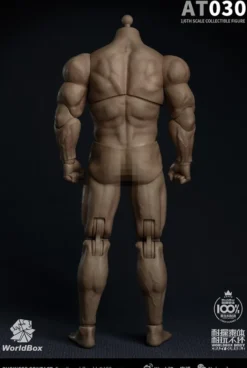 Worldbox 1/6 männlicher Figurenkörper stark & beständig