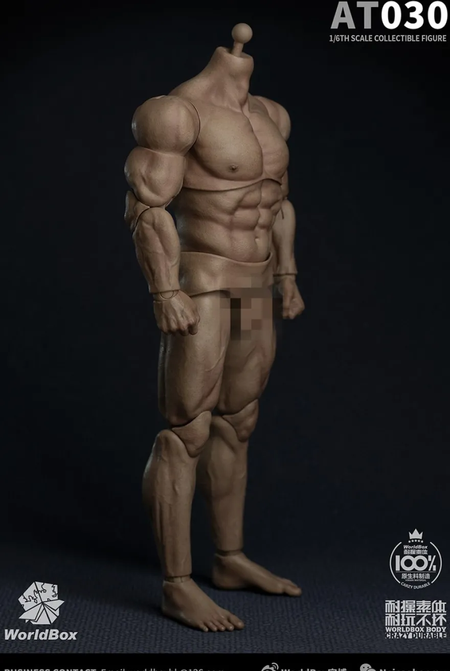 Worldbox 1/6 männlicher Figurenkörper stark & beständig