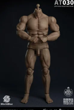 Worldbox 1/6 männlicher Figurenkörper stark & beständig